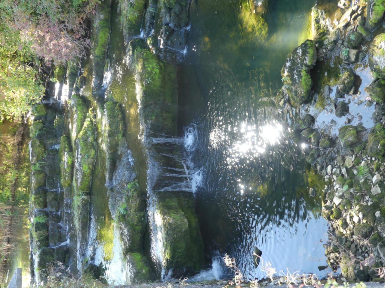 Готель Aux Truites Bleues Fort-du-Plasne Екстер'єр фото