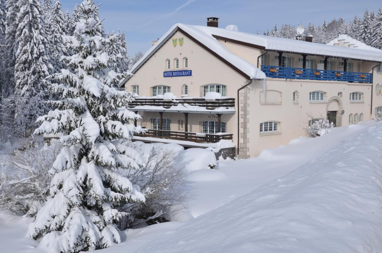 Готель Aux Truites Bleues Fort-du-Plasne Екстер'єр фото
