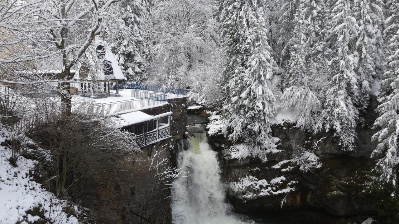 Готель Aux Truites Bleues Fort-du-Plasne Екстер'єр фото